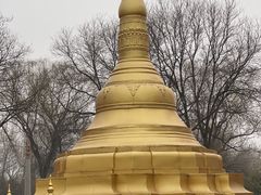 -北京世界公园