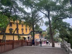 -灵岩山风景区