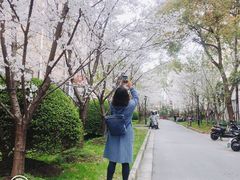 -上海财经大学(国定路校区)