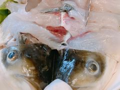 -香樟活鱼馆(渝北店)