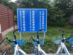 -金鸡岭桥头公园