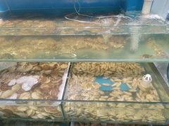 -仙螺岛海鲜自助餐厅(总店)