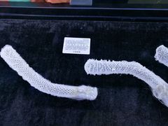 -贝壳王国博物馆