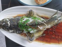 -锦里海景海鲜餐厅.三亚老字号(亚龙湾中心广场店)