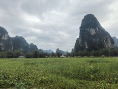 -明仕田园