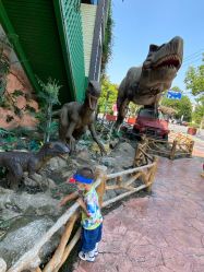 -宝燕乐园(闵行旗舰店)