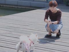 -田园东方蜜桃村的田野营地