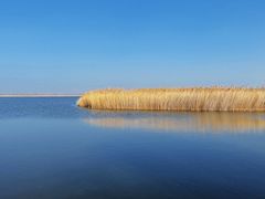 -野鸭湖国家湿地公园