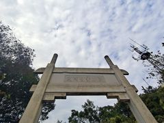 -紫金山山顶公园