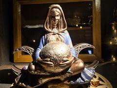 -雪灵魔法世界SHELLY’S TAROT(大良桂畔里店)