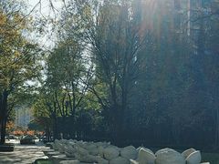 -木塔寺遗址生态公园