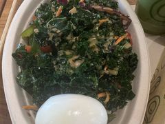 -油梨树 AVOCADO TREE(亮马桥店)