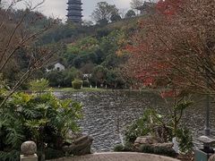-重庆园博园