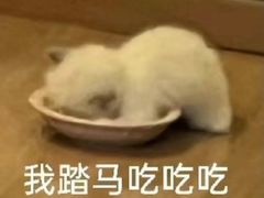 -木尔坦·Multan巴基斯坦清真餐厅halal(大智嘉园店)
