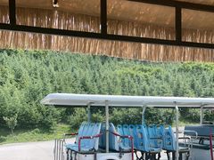 -威海华夏城景区