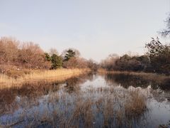 -国家植物园