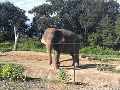 -清迈夜间动物园