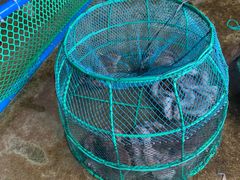 -鸿港海鲜批发市场