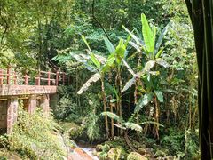 -赤水丹霞旅游区·佛光岩