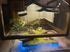 -蘇锦宴·淮扬菜烤鸭·小院(三元桥霄云路店)