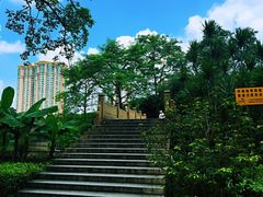 -晓港公园