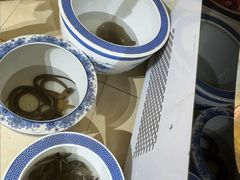 -食藕·武昌鱼(古德寺店)