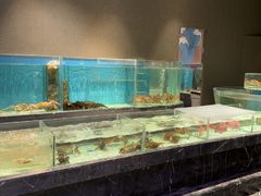 -许家菜.艺创菜(仁和新城店)