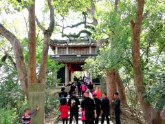 -溪口-滕头旅游景区