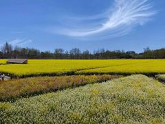 -中国天府农业博览园