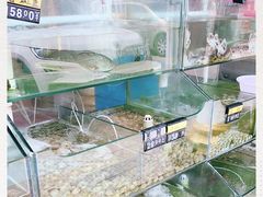 水产区-四海鲜渔家菜(黄金海岸店)
