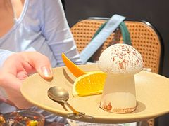-滇野云南野生菌餐厅(陕西南路店)