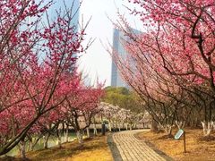 -白塘生态植物园