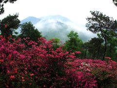 -鼎湖山风景区