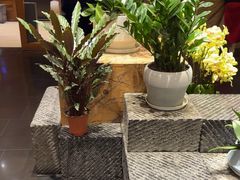 -黔蘑菇四季餐厅(观山湖店)