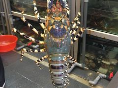 -蟹皇海鲜餐厅