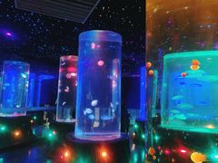 -锦艺城海洋馆