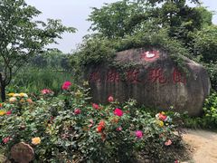-鹅湖玫瑰文化园