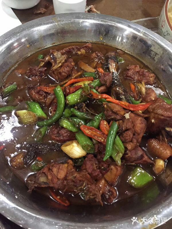 山窝窝老公鸡图片