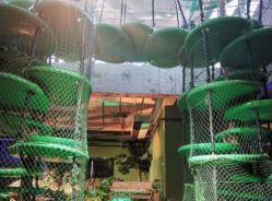 -恐龙探索乐园(磁器口店)