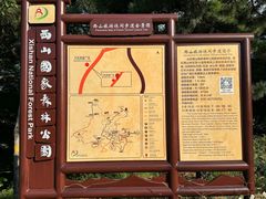 -北京西山国家森林公园