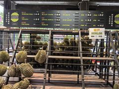 -SS2 榴梿鲜生