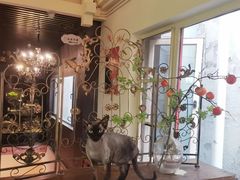 -猫小院猫主题餐厅(南锣旗舰店)
