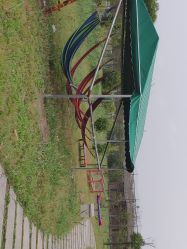 -水八仙生态园