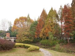 -蠡湖中央公园