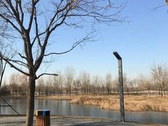 -东郊湿地公园