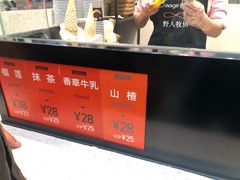 -野人先生现做冰淇淋(西安赛格店)