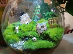 -陶语手工·拼豆·陶艺·银饰diy(宽厚里店)