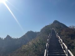 -大岭沟猕猴桃谷风景区
