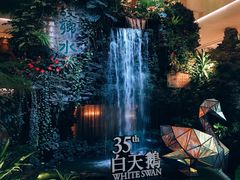 -白天鹅宾馆·流浮阁咖啡厅