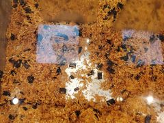 -鲍师傅糕点(虹口龙之梦店)